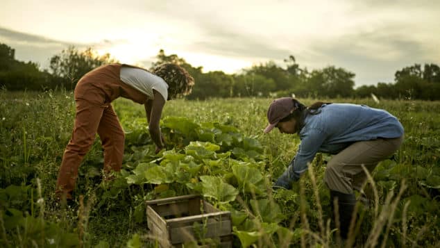 The American Farm Bureau uses always on advocacy